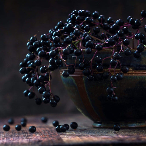 A rustic bowl sits on a wooden surface, filled with clusters of deep purple elderberries. Some berries spill over the edge of the bowl, cascading down elegantly, while a few are scattered on the table. The background is dark, highlighting the vibrant berries and evoking thoughts of Symbeeosis: Beautifying Immunitea for the Queen Bee by Magic Hour.