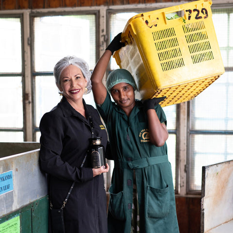 In the bustling factory setting, one woman dressed in a black outfit and hair net leans against a machine, savoring a coffee cup with a contented smile. Beside her stands another woman in a green uniform and cap, effortlessly lifting a yellow crate over her shoulder. Both women are beaming amidst the industrial equipment and large windows, embodying the spirited participants of Magic Hour's Tea School Course #1: Tea Essentials + Taste New Teas adventure.