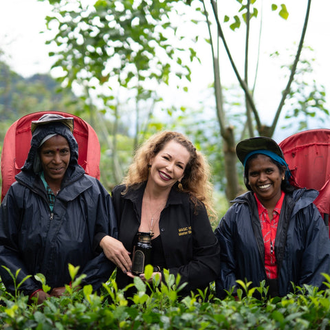 A person with curly hair in a black jacket stands in a tea plantation, smiling and holding "Tea School Course #2: Black & Puerh Teas + Taste Fall Harvest" by Magic Hour. On either side, two people in dark rain jackets and red backpacks also smile. The background features lush green plants and trees, capturing the essence of a Master Tea Blender's serene workspace.